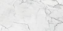 Плитка Kerranova Marble Trend Carrara LR 30x60 см, поверхность полированная