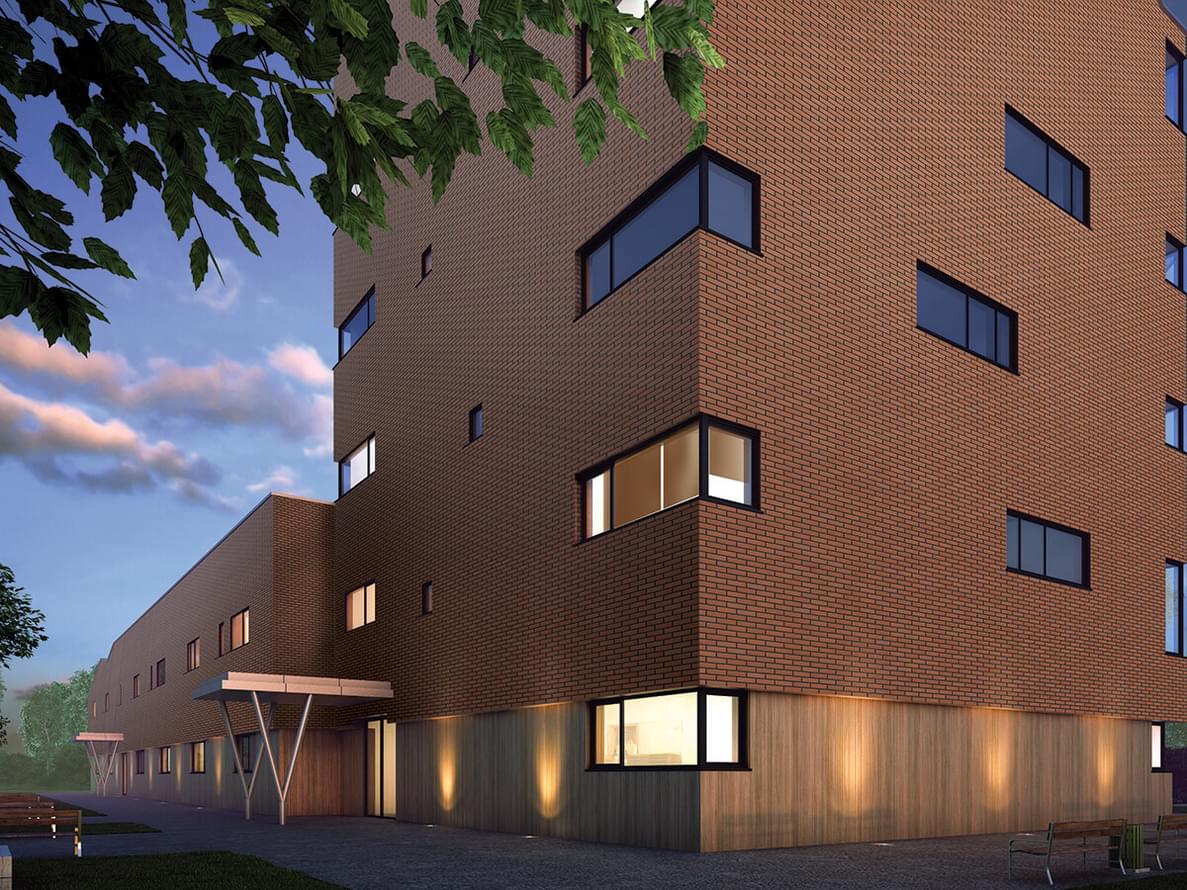 клинкер фабрики King Klinker коллекция Dream House