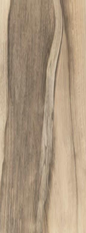 Kutahya Kauri Oak 60x160