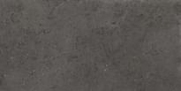 Плитка La Fabbrica Le Pietre D Europa Lux Dark Rett 50x100 см, поверхность матовая, рельефная