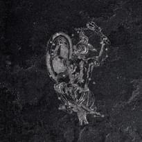 Плитка La Fabbrica Pietra Lavica Orion Gryphea 49x49 см, поверхность полуполированная