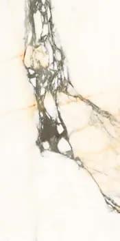 Плитка La Faenza Aesthetica AE PAZ6 12 LP 60x120 см, поверхность полированная