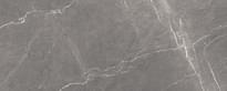 Плитка Laparet Fronda Серый 20x50 см, поверхность глянец
