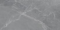 Плитка Lasselsberger Диккенс Серый 30x60 см, поверхность матовая