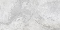 Плитка Lasselsberger Киплинг Светло-Серый 30x60 см, поверхность матовая