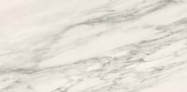 Плитка Lea Ceramiche Delight Venato Bianco Lux 60x120 см, поверхность полированная