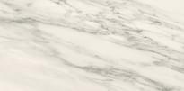 Плитка Lea Ceramiche Delight Venato Bianco Nat 60x120 см, поверхность матовая