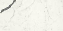 Плитка Lea Ceramiche Dreaming Bianco Statuario Velvet 30x60 см, поверхность полуматовая
