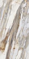 Level Marmi Book Match A Calacatta Fossil Lappato 162x324 см, поверхность полуполированная