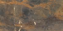Плитка Level Marmi Fossil Brown Lappato Lucido Stuoiato Book Match A 162x324 см, поверхность полированная