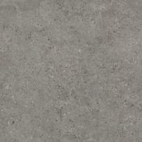 Плитка Living Ceramics BeraAndBeren Dark Grey Anti-Slip 20 mm 120x120 см, поверхность матовая