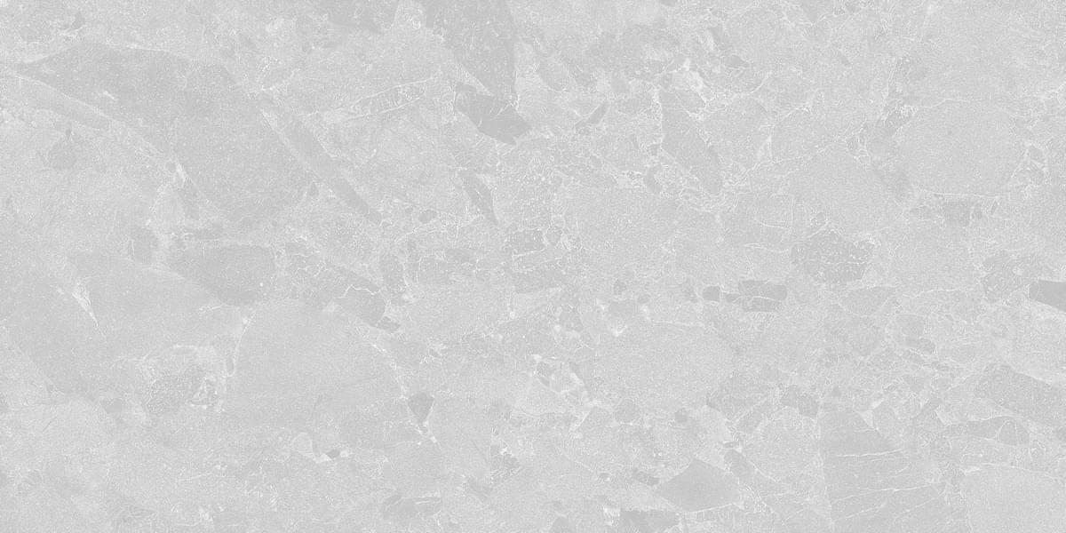 Living Ceramics Eme Light Grey Anti-Slip 45x90 Living Ceramics Eme Light Grey Anti-Slip 45x90