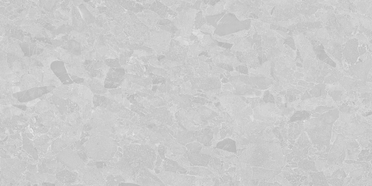 Living Ceramics Eme Light Grey Anti-Slip 60x120 Living Ceramics Eme Light Grey Anti-Slip 60x120
