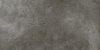 Плитка Living Ceramics Floss Graphite Anti-Slip 30x60 см, поверхность матовая