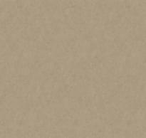 Loymina A La Prima Pm10 012 Denim 10x100 см поверхность матовая