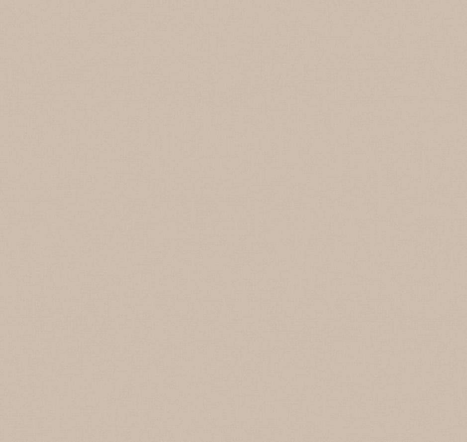 Loymina A La Prima Pm13 005/1 Plain Cotton 10x100 Loymina A La Prima Pm13 005/1 Plain Cotton 10x100