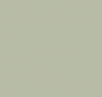 Loymina A La Prima Pm13 005 Plain Cotton 10x100 см поверхность матовая
