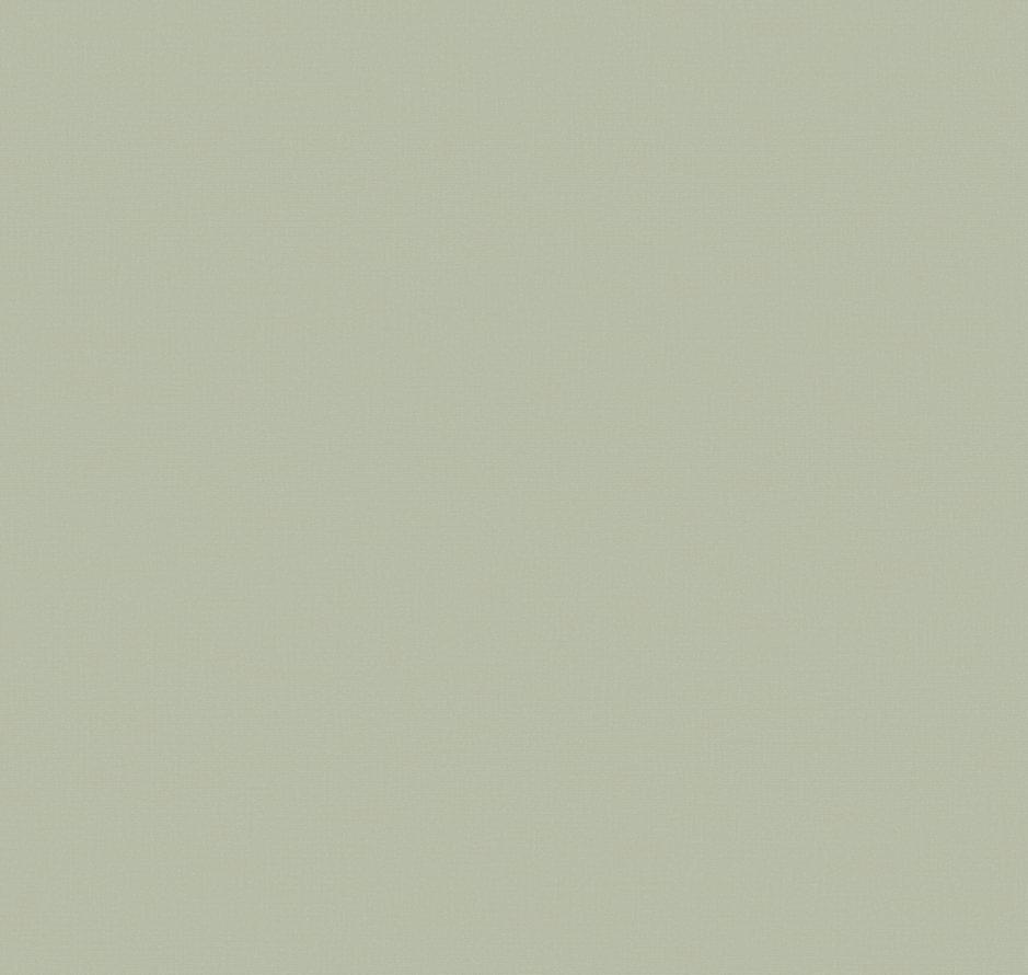 Loymina A La Prima Pm13 005 Plain Cotton 10x100 Loymina A La Prima Pm13 005 Plain Cotton 10x100