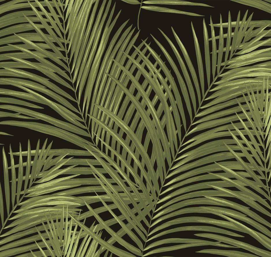Loymina Amazonia Ins3 005/3 Palm 10x100