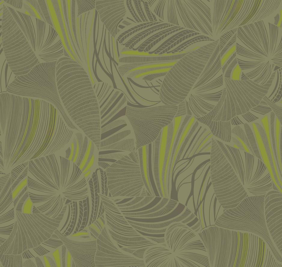 Loymina Amazonia Ins5 005/1 Monstera 10x100 Loymina Amazonia Ins5 005/1 Monstera 10x100