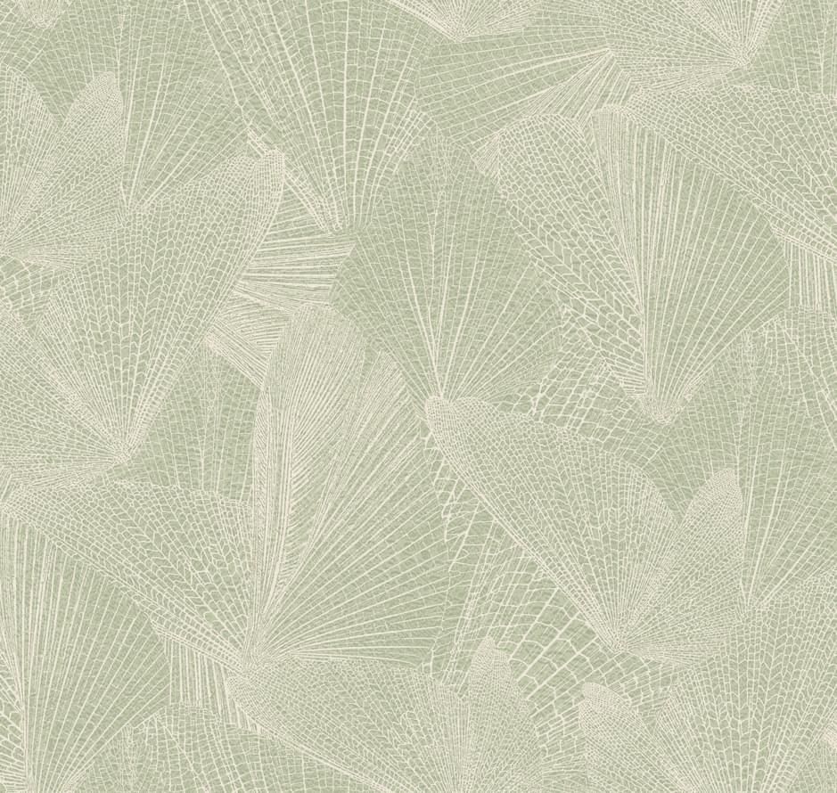 Loymina Amazonia Ins6 005 Fossil 10x100