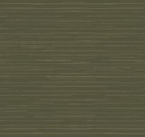 Loymina Amazonia Ins9 005/2 Linen 10x100 см поверхность матовая