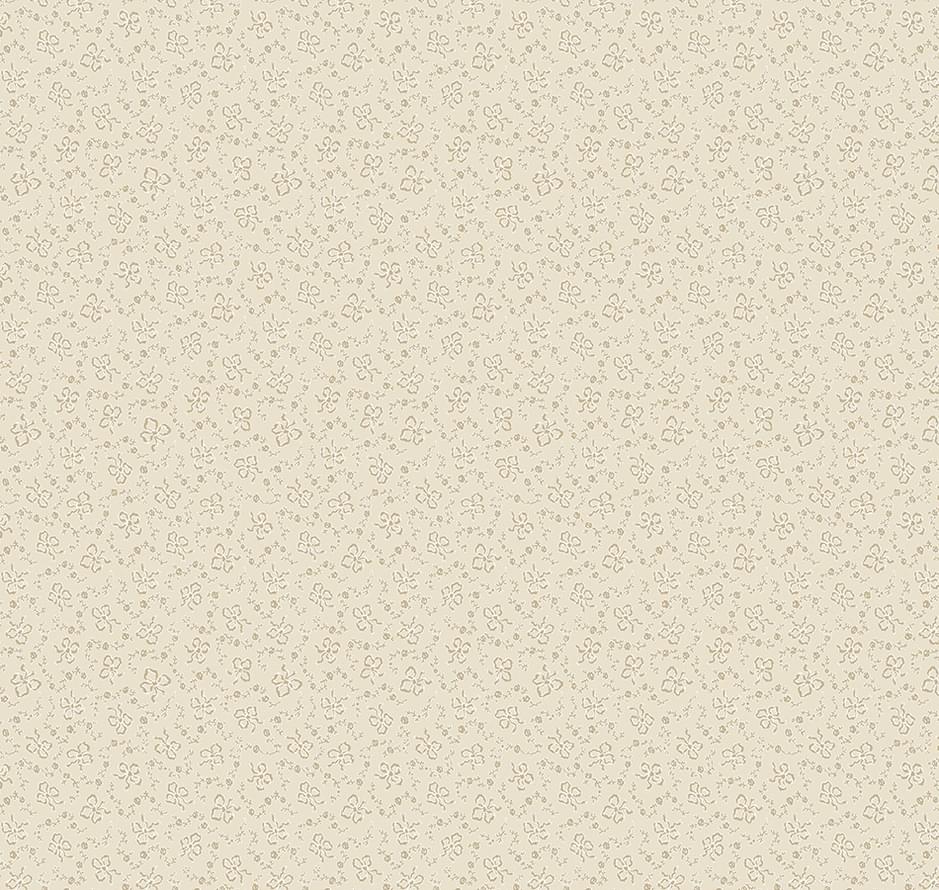Loymina Classic Volume II V3 002 Curio 10x100