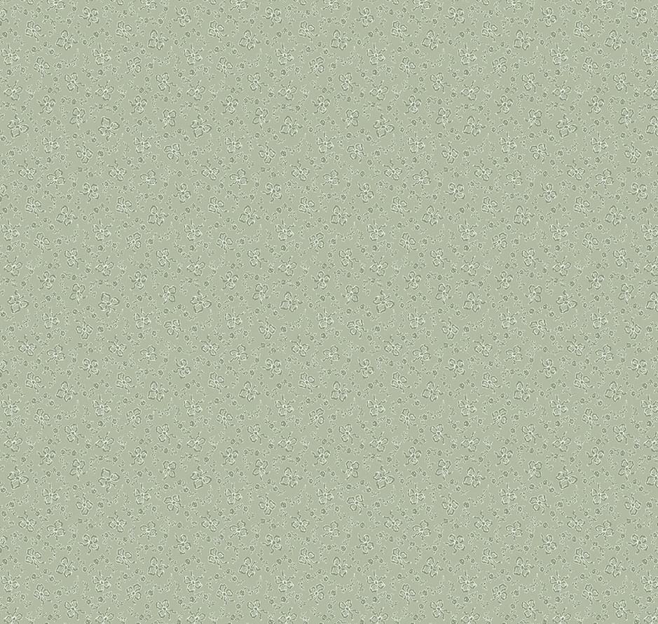 Loymina Classic Volume II V3 005 Curio 10x100