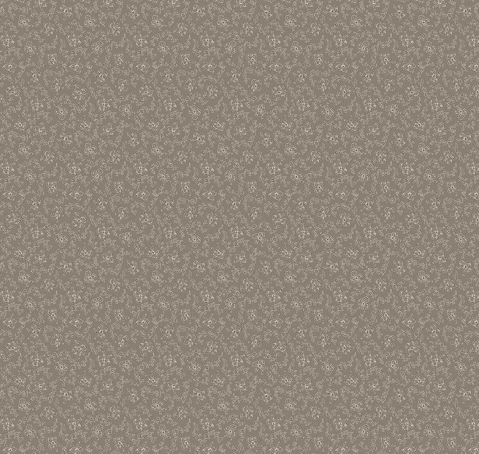 Loymina Classic Volume II V3 010 Curio 10x100