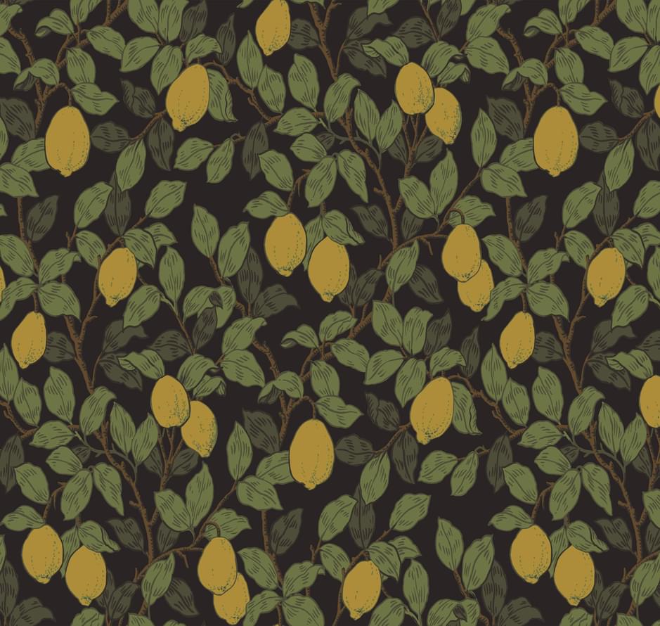 Loymina Equator Qtr3 011 Citron 10x100 Loymina Equator Qtr3 011 Citron 10x100