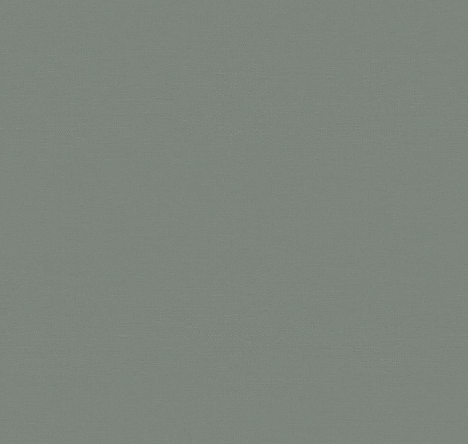 Loymina Equator Qtr8 006/1 Stitched 10x100 Loymina Equator Qtr8 006/1 Stitched 10x100