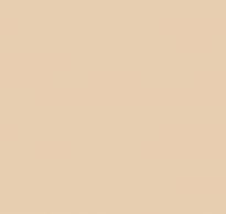 Loymina Golden Library Sat15 002 Plain 10x100 см поверхность матовая