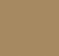Loymina Golden Library Sat3 005/1 Plain 10x100 см поверхность матовая
