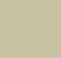 Loymina Golden Library Sat4 005 Plain 10x100 см поверхность матовая