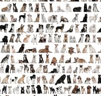 Loymina IIIusion Volume II Da 002 Animals 3 Полотна 3x300 см поверхность матовая