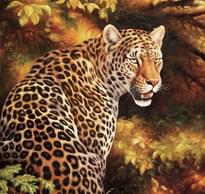 Loymina IIIusion Volume II Da 005 Animals 2 Полотна 2x300 см поверхность матовая