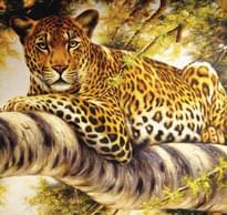 Loymina IIIusion Volume II Da 006 Animals 2 Полотна 2x300 см поверхность матовая
