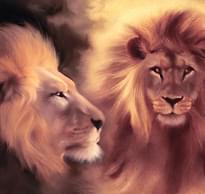 Loymina IIIusion Volume II Da 007 Animals 4 Полотна 3x400 см поверхность матовая