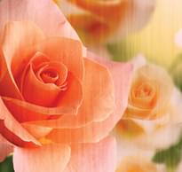 Loymina IIIusion Volume II Dfl 002 Floral 3 Полотна 3x300 см поверхность матовая