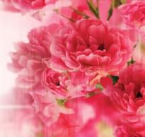 Loymina IIIusion Volume II Dfl 003 Floral 3 Полотна 3x300 см поверхность матовая