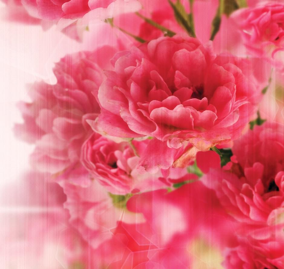 Loymina IIIusion Volume II Dfl 003 Floral 3 Полотна 3x300 Loymina IIIusion Volume II Dfl 003 Floral 3 Полотна 3x300