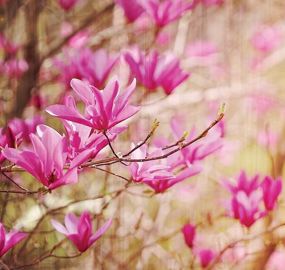 обои фабрики Loymina коллекция IIIusion Volume II