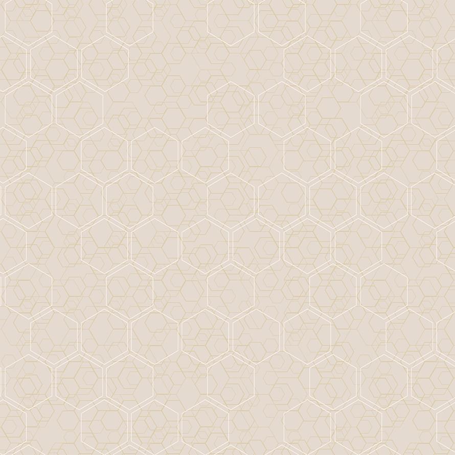 Loymina Liberty Lib1 001 Lindberg 10x100 Loymina Liberty Lib1 001 Lindberg 10x100