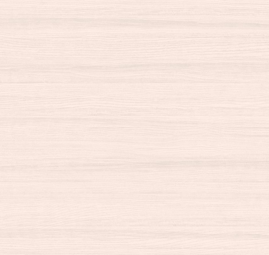 Loymina Materials Terra TER2 001/1 Veneer 10x100