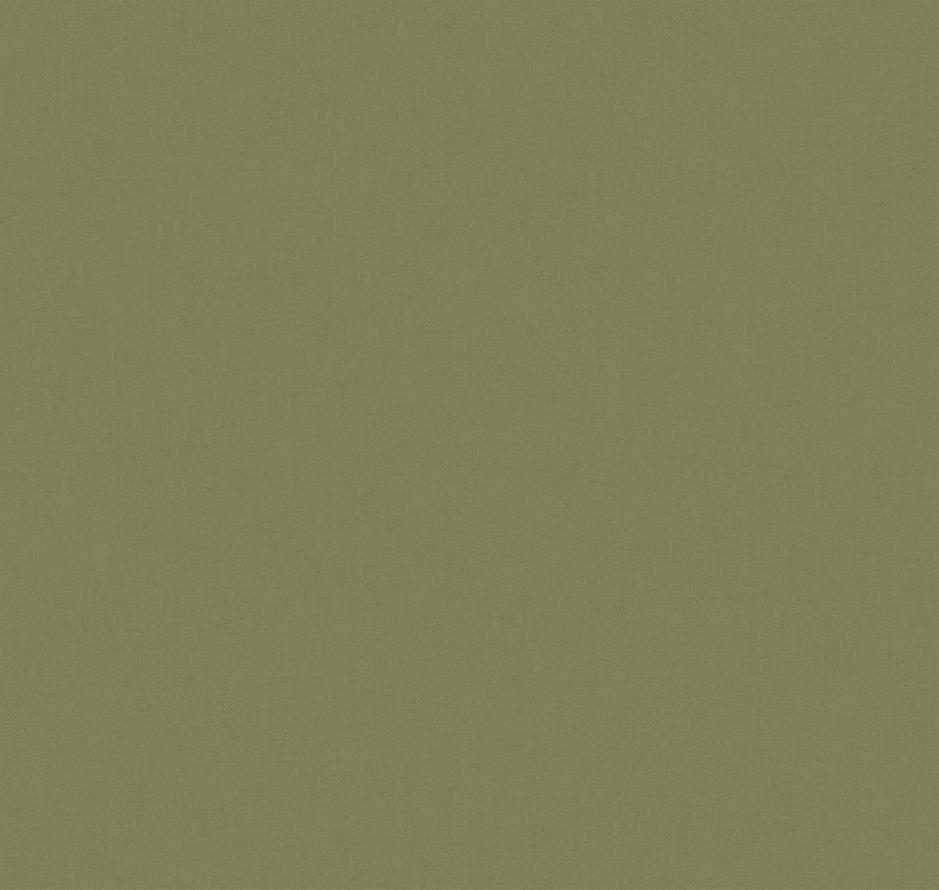 Loymina Origins Als10 005/2 Woollen 10x100