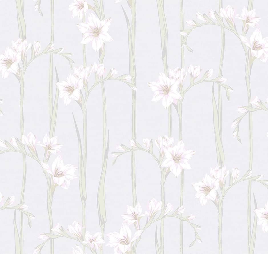 Loymina Origins Als2 001 Gladiolus 10x100