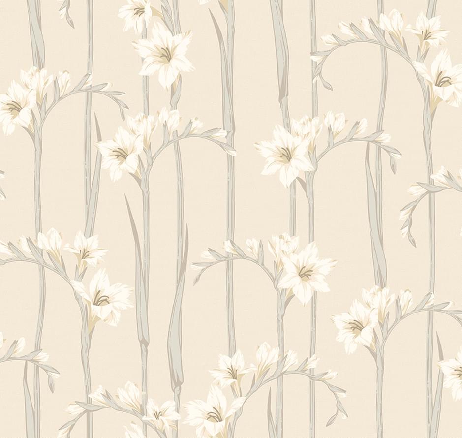 Loymina Origins Als2 002 Gladiolus 10x100