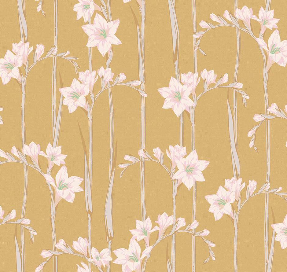 Loymina Origins Als2 004 Gladiolus 10x100