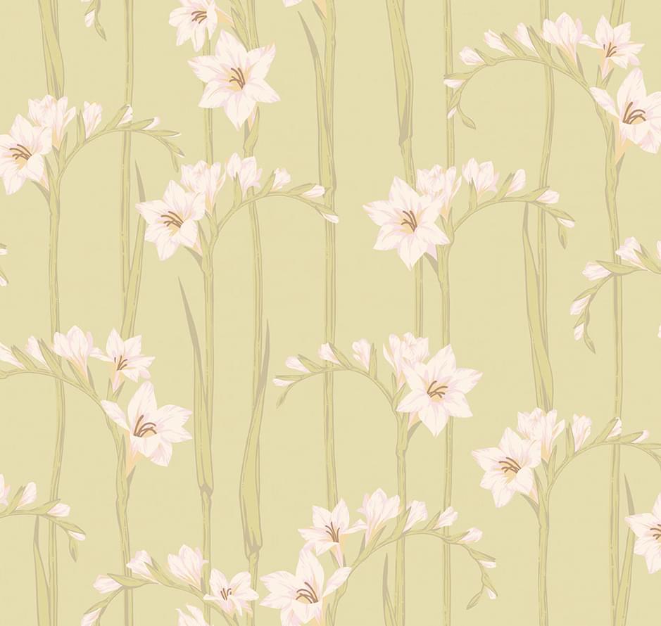 Loymina Origins Als2 005 Gladiolus 10x100