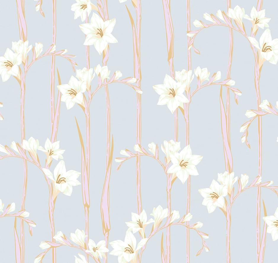 Loymina Origins Als2 006 Gladiolus 10x100